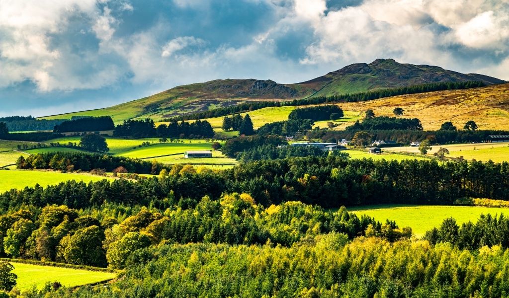 Relinquishment and Assignation Legislation for Tenant Farmers
