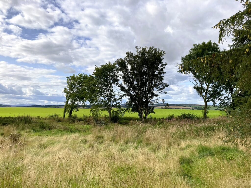 Two Residential Plots at Rutherford Kelso, Scottish Borders, TD5 8NP - property photo 1