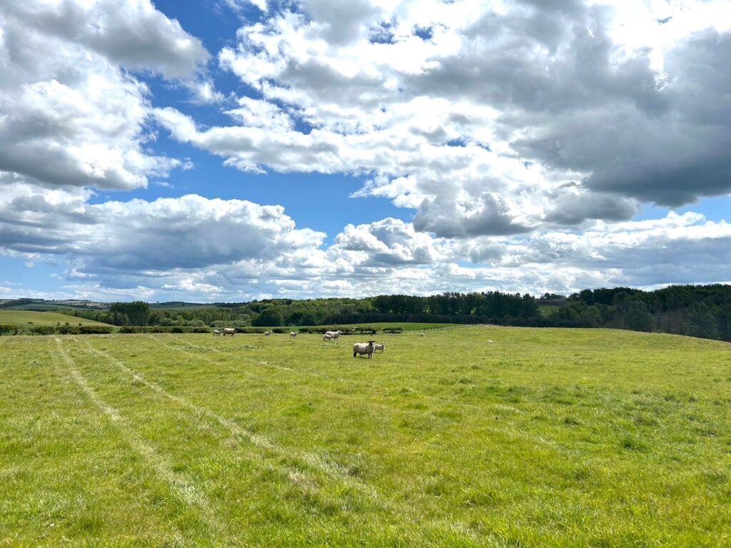 Naboth’s Vineyard, Auchencrow, Duns, Berwickshire, TD11 - property photo 1