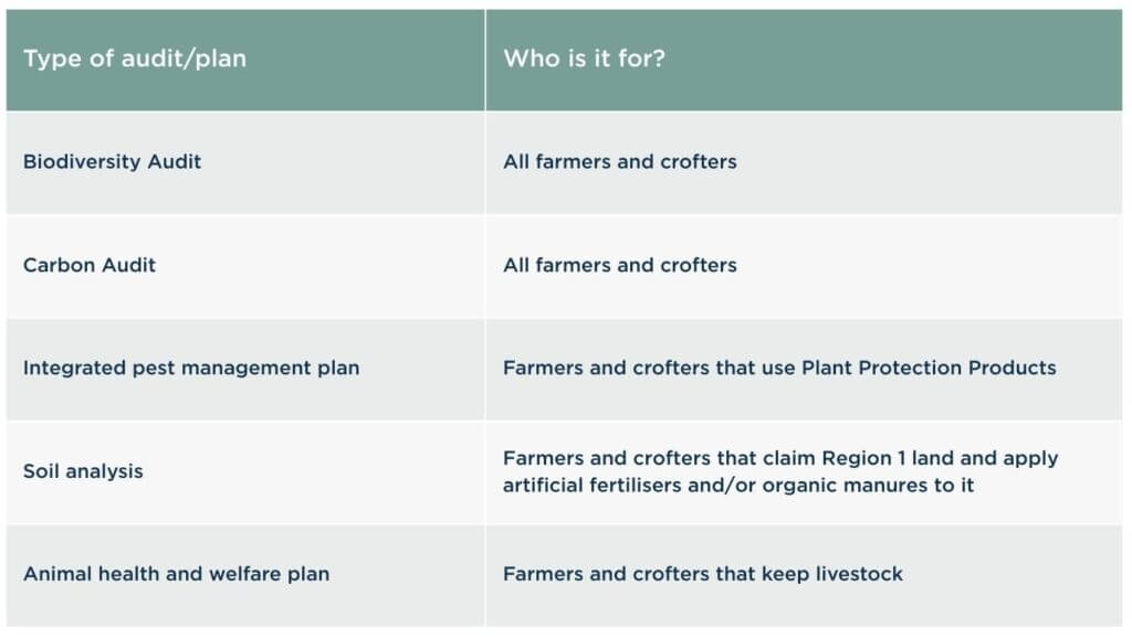 Whole Farm Plan Audit / Plan