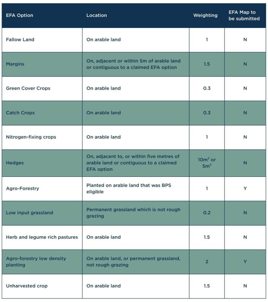 EFA Options Table