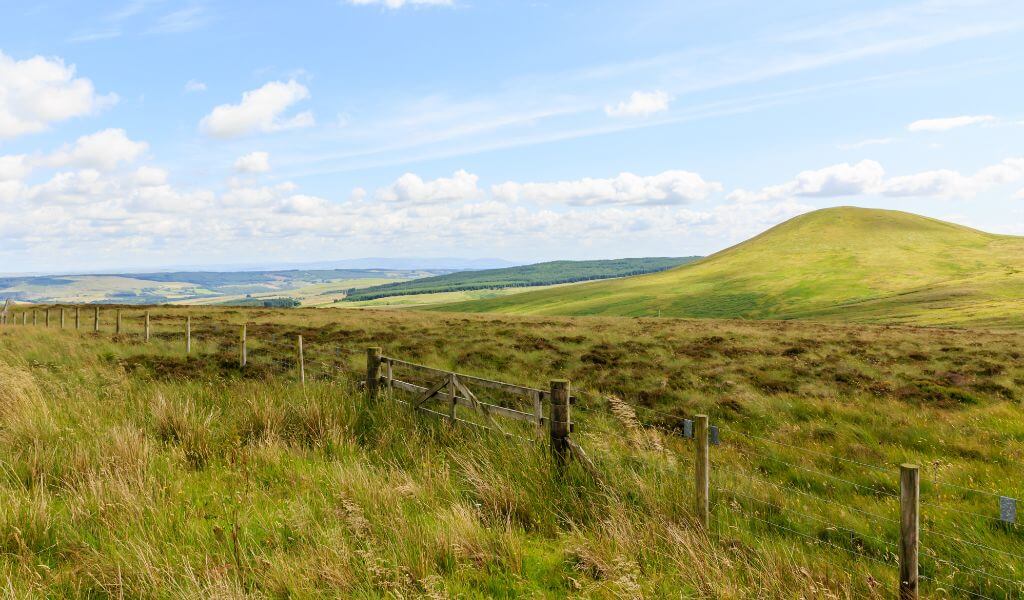 Rural Support Plan